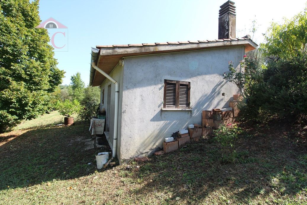 amelia-annessi con terreno-vicino al centro-strada di facile accesso-posizione soleggiata 4.png